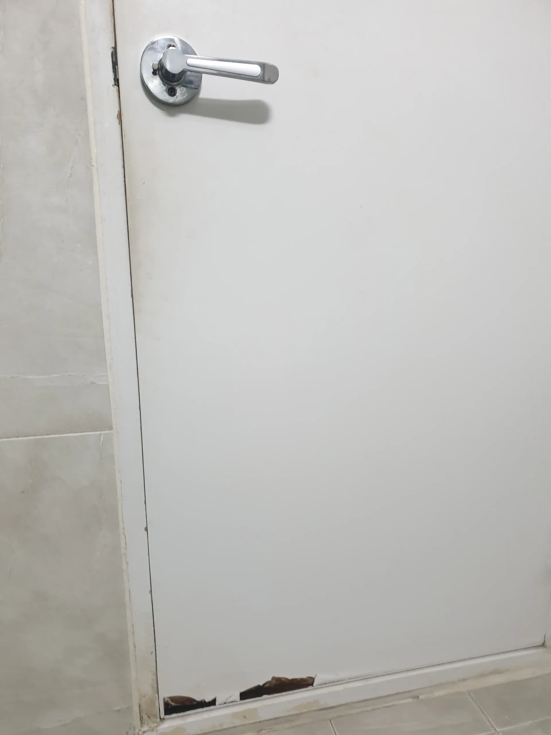 복원 전 손상된 문